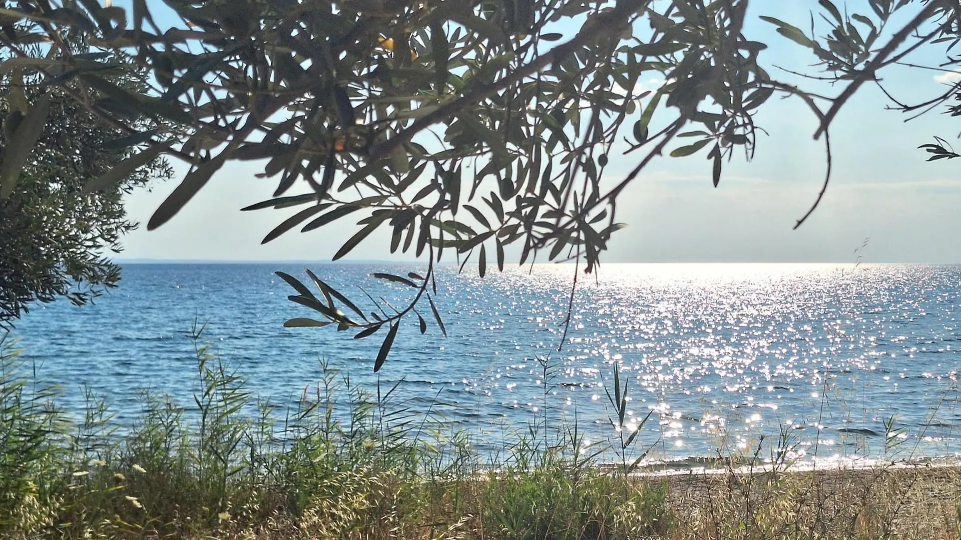 Akti Elia Villas Chalkidiki With Private Pools Nikiti   Nikiti (Sithonia)